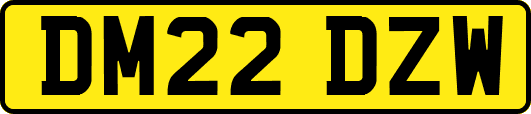 DM22DZW
