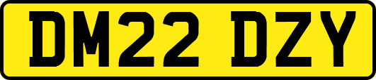 DM22DZY