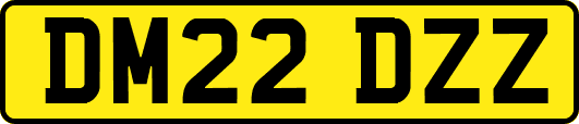 DM22DZZ