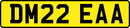 DM22EAA