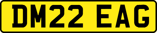 DM22EAG