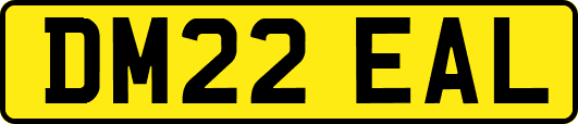 DM22EAL