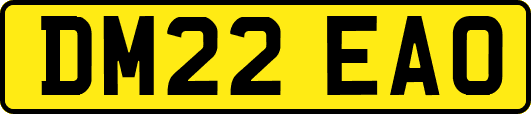 DM22EAO