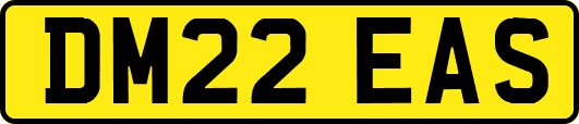 DM22EAS