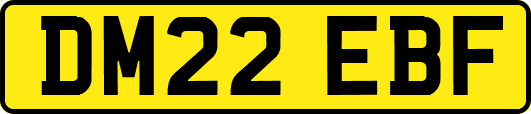 DM22EBF