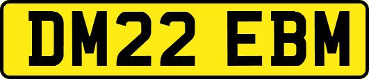 DM22EBM