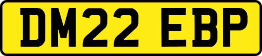 DM22EBP