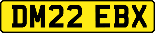 DM22EBX