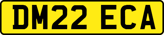 DM22ECA