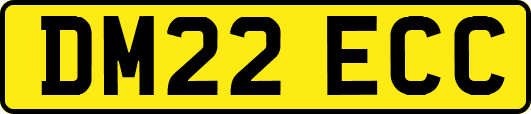 DM22ECC