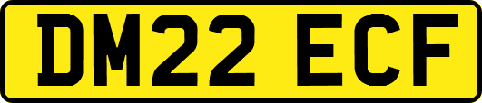 DM22ECF