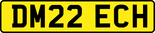DM22ECH