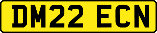 DM22ECN