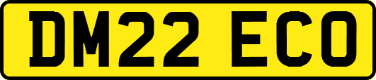 DM22ECO