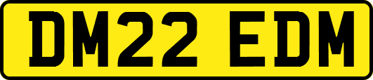 DM22EDM