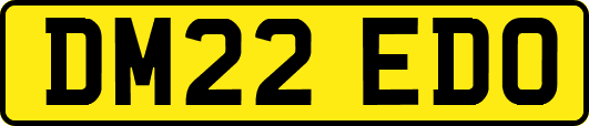 DM22EDO