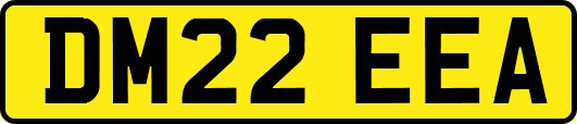 DM22EEA