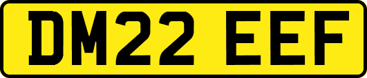 DM22EEF