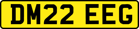 DM22EEG