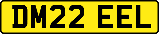 DM22EEL