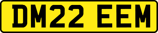 DM22EEM