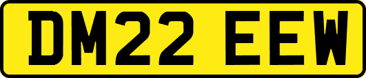 DM22EEW