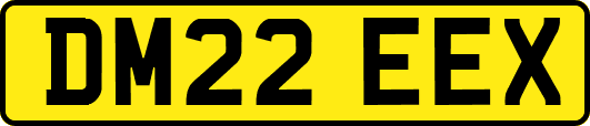 DM22EEX