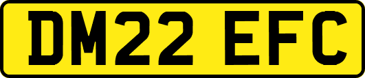 DM22EFC