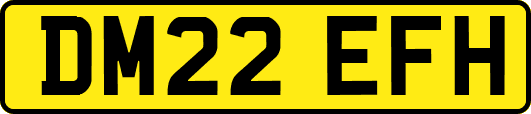 DM22EFH