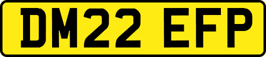 DM22EFP