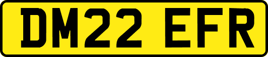 DM22EFR