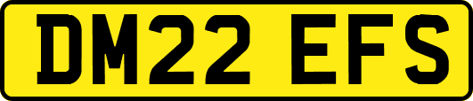 DM22EFS
