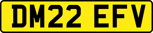 DM22EFV