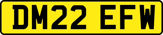 DM22EFW