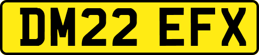 DM22EFX