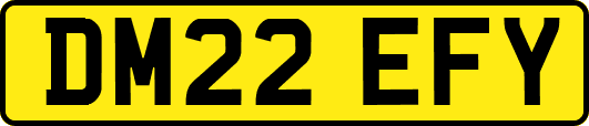 DM22EFY