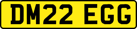 DM22EGG