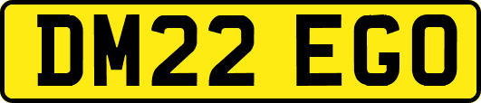 DM22EGO