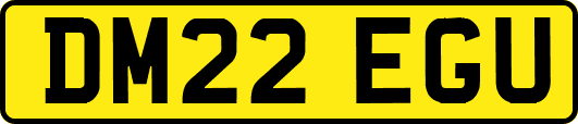 DM22EGU