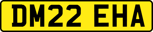 DM22EHA