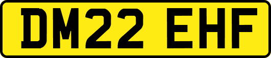DM22EHF