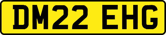 DM22EHG