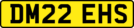 DM22EHS