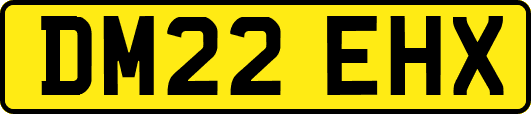 DM22EHX