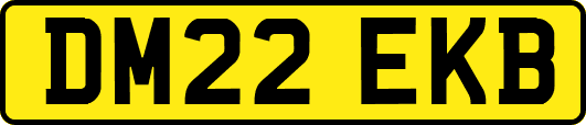 DM22EKB