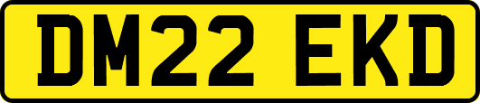 DM22EKD