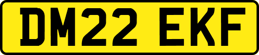 DM22EKF