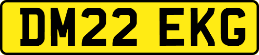 DM22EKG