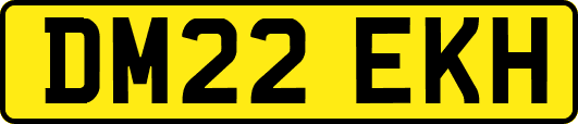 DM22EKH