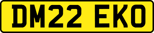 DM22EKO